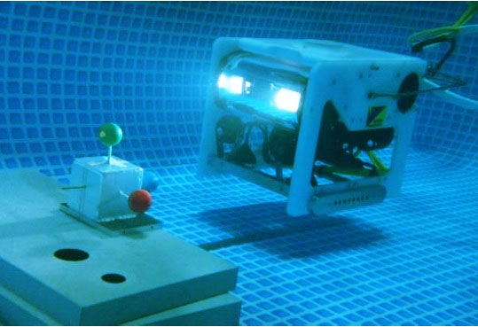 Autonomous Underwater Vehicle