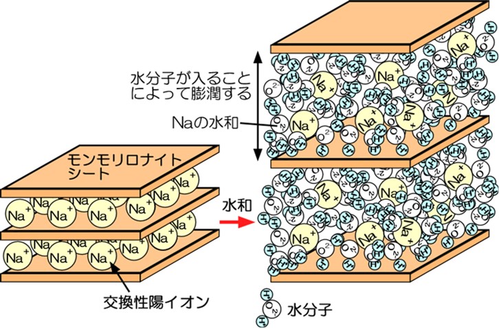 放射性廃棄物処分における人工バリア材（緩衝材）の挙動解析